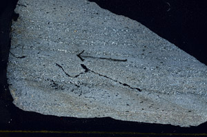 Cross Polarized, S88839