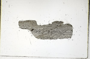 Plane Polarized, S88840