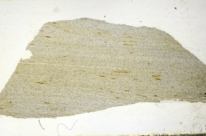Plane Polarized, S88841