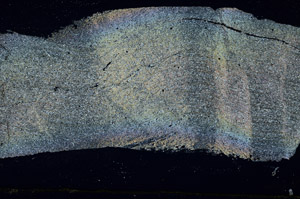 Cross Polarized, S88843