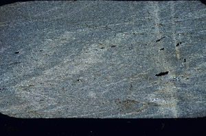 Cross Polarized, S88844