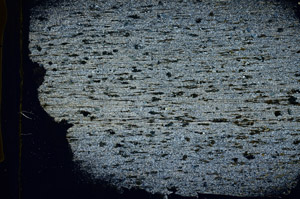 Cross Polarized, S88849