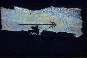 Cross Polarized, S88850