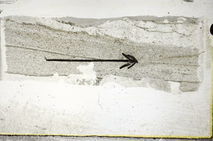 Plane Polarized, S88850