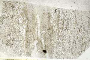 Plane Polarized, S88851