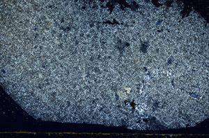 Cross Polarized, S88852