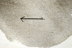Plane Polarized, S88853