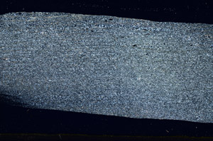 Cross Polarized, S88857