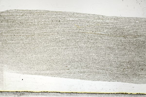 Plane Polarized, S88857