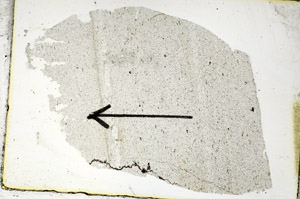 Plane Polarized, S88858