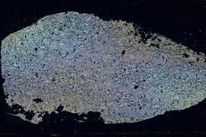 Cross Polarized, S88859