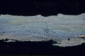 Cross Polarized, S88863