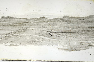 Plane Polarized, S88863