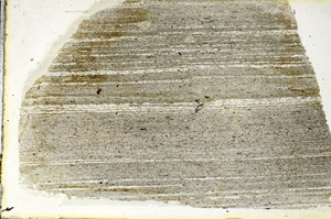 Plane Polarized, S88864