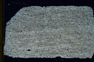 Cross Polarized, S88865