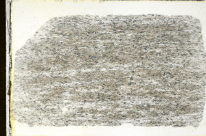 Plane Polarized, S88865