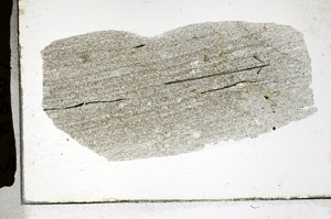 Plane Polarized, S88869