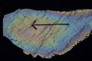Cross Polarized, S88873