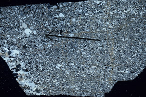 Cross Polarized, S88877