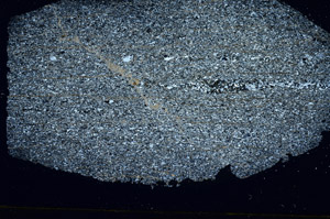 Cross Polarized, S88879