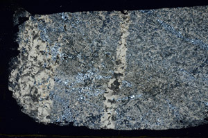 Cross Polarized, S88880