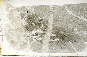 Plane Polarized, S88880