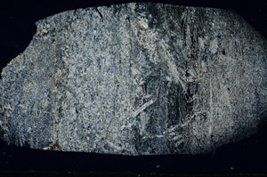 Cross Polarized, S88882