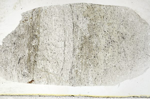Plane Polarized, S88882
