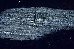 Cross Polarized, S88885
