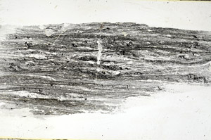 Plane Polarized, S88885