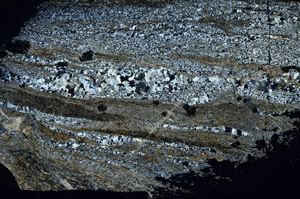 Cross Polarized, S88887