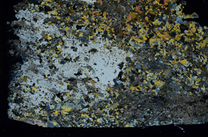 Cross Polarized, S88888