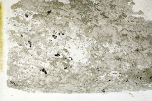 Plane Polarized, S88888