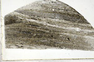Plane Polarized, S88890