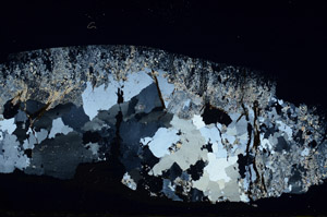 Cross Polarized, S88892