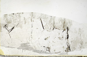 Plane Polarized, S88892