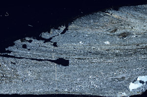 Cross Polarized, S88893