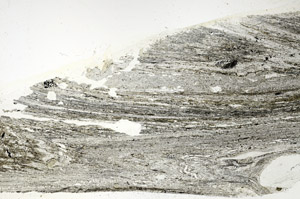 Plane Polarized, S88893