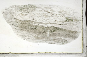 Plane Polarized, S88896