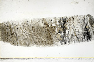 Plane Polarized, S88904