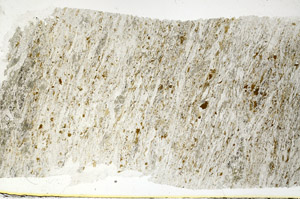Plane Polarized, S88906