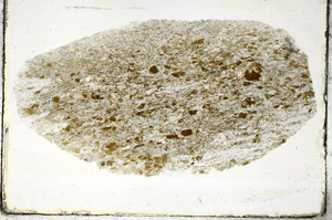 Plane Polarized, S88907