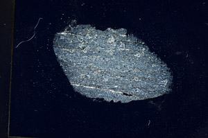 Cross Polarized, S88908