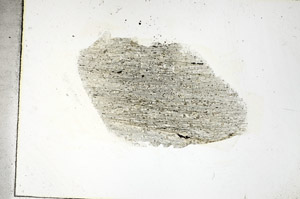 Plane Polarized, S88908