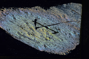 Cross Polarized, S88912