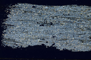 Cross Polarized, S88914