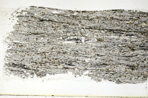 Plane Polarized, S88914