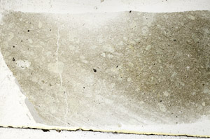 Plane Polarized, S88915