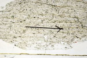 Plane Polarized, S88916