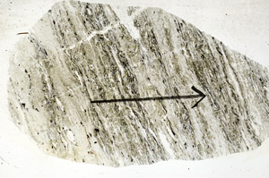 Plane Polarized, S88917